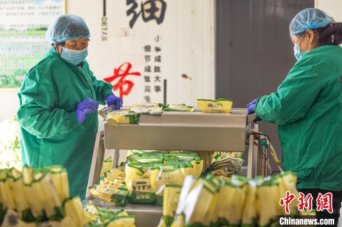 腾讯分分彩：（走进中国乡村）新一代传承人探索豆腐文化韵味